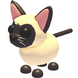 Siamese Cat